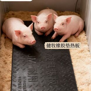橡胶电热板仔猪兽用猪用养殖场加热宠物产床保温塑料漏粪板禁用