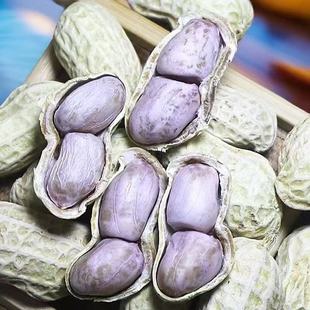 龙岩水煮咸干花生25盐水白晒新货批发新鲜特产带壳