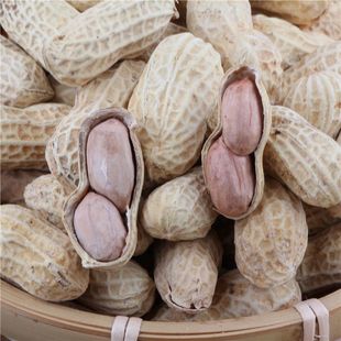水煮白晒花生新鲜原味水煮白晒干花生正宗咸蒜五香花生湿烤香酥带