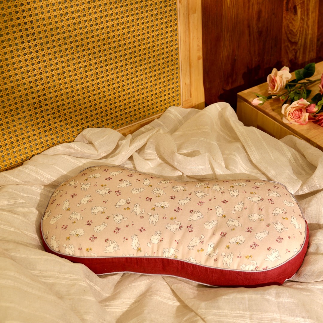 2025年新款荞麦枕头全棉双层纱荞麦壳成人护颈纯棉枕芯透气