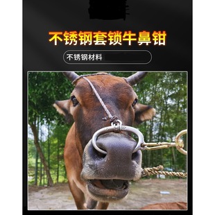 不锈钢牛鼻环牛鼻圈养牛设备器械牛鼻钳子夹子牛鼻牵引免打孔