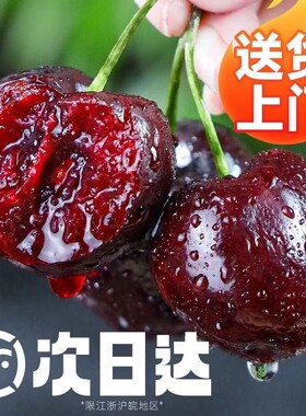 Dx福利34JDD智利空运桑提娜SANTINA车厘子次日达内附果径卡800g新