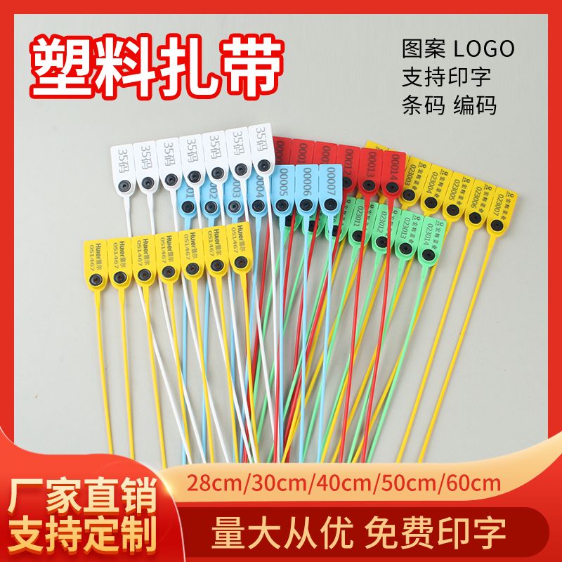 一次性塑料封条扎带防调卡扣物流标牌集装箱铅封防盗封签防拆签封