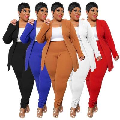 Plus Size European American Women's Business Casual Two