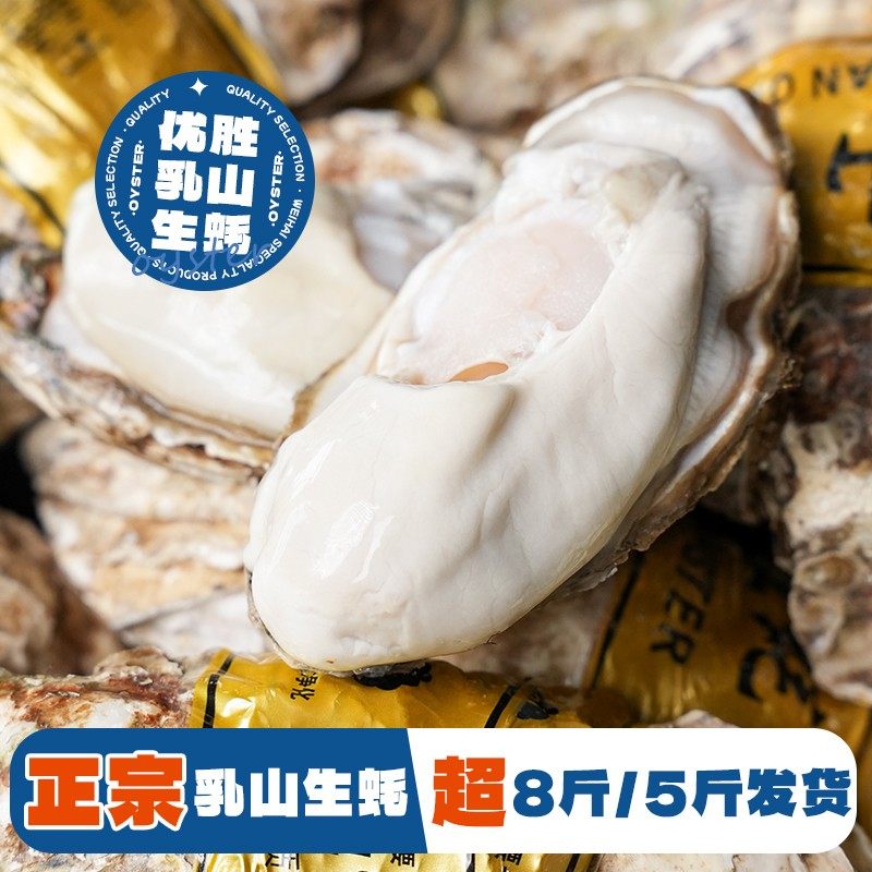 到手净重5斤/8斤正宗乳山生蚝原产地直发鲜活牡蛎海蛎子顺丰冷链,宠物/宠物食品及用品,鸟零食,淘宝优惠券,粉丝福利购,淘宝优惠卷