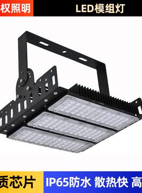 LED模组隧道灯户外高杆球场灯100W200W500W大功率广告投光泛光灯