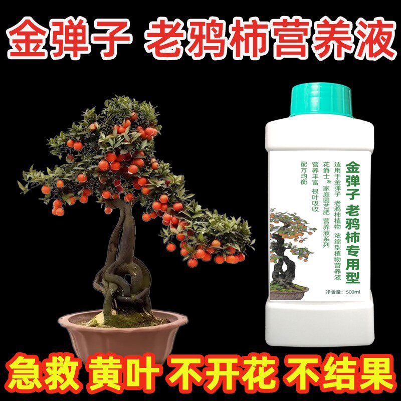 金弹子土壤营养液挂果肥料老鸦柿专用肥盆景黄叶爆根催花保果肥 - 实物图