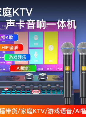 SY7声卡音响一体机跨境英文款大功率k歌蓝牙音箱家庭ktv卡拉OK