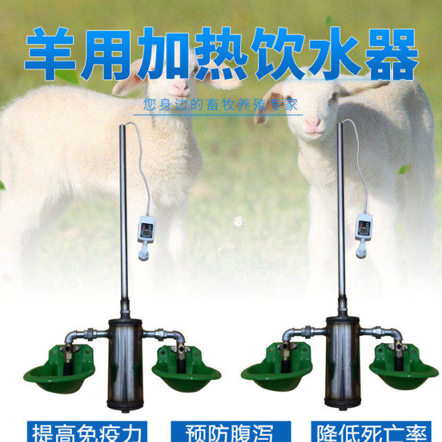 羊用饮水碗猪羊保育猪母猪用自动恒温加热热水器母猪恒温热水器,畜牧/养殖物资,畜牧/养殖器械,淘宝优惠券,粉丝福利购,淘宝优惠卷