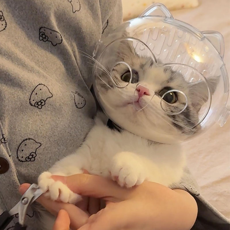 猫咪太空头罩防咬头套洗澡剪指甲防抓舔神器宠物嘴套伊丽莎白圈