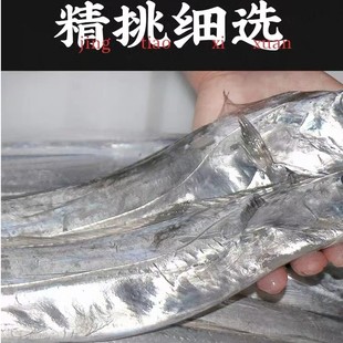 带鱼段 渤海湾小眼睛油带鱼段 无冰衣 威海发货