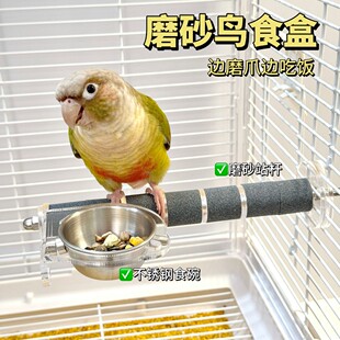 九九小鹦鹦鹉不锈钢防溅食盒虎皮牡丹玄凤专用站杆喂食器鸟类用品