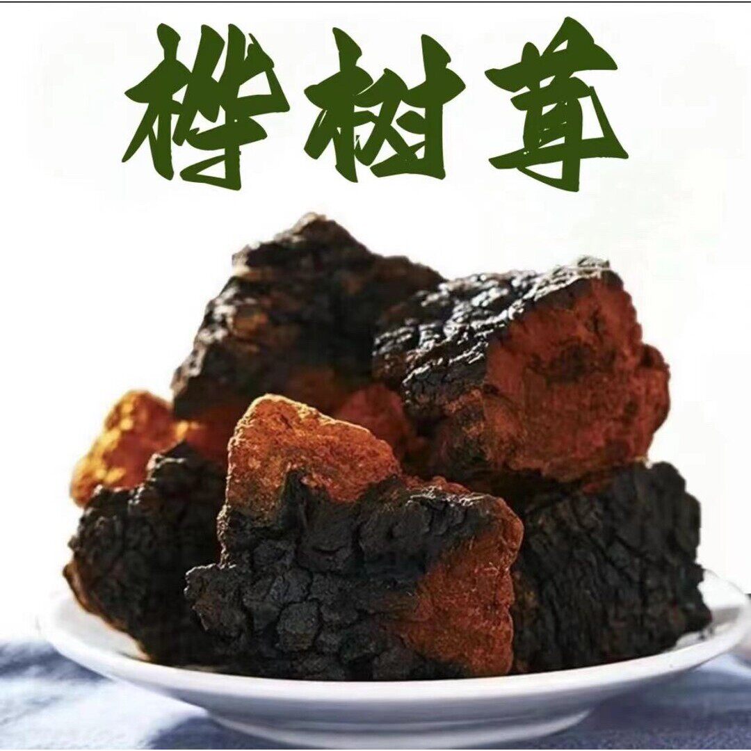 中俄边境桦树茸白桦树茸煮水特别好营养浓郁