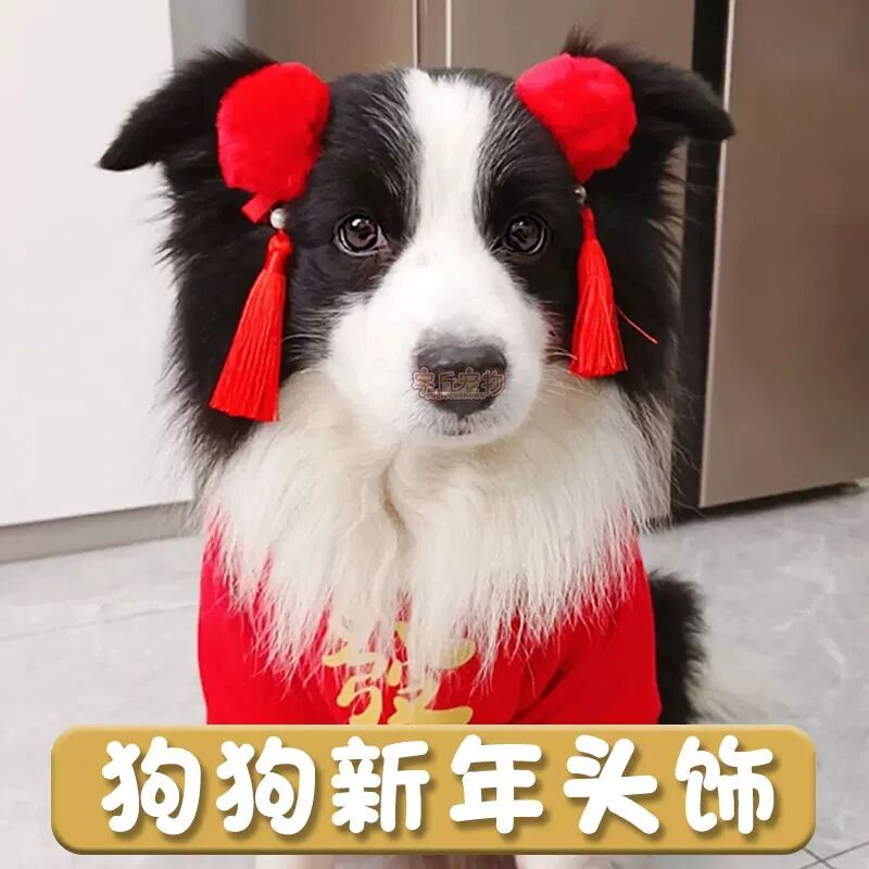 宠物狗狗专用新年红色发夹泰迪比熊小发夹蝴蝶结头饰边牧过年装饰