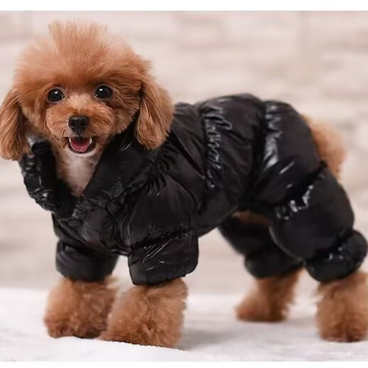 狗狗羽绒服四脚包肚狗狗衣服秋冬羽绒服四脚泰迪吉娃娃冬装宠物小