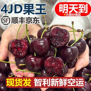 4JDD果王明天到智利海运车厘子新鲜宝宝孕妇LYX内附果径卡800g