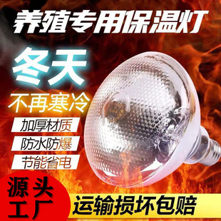 保温养殖专用取暖灯猪仔猪小鸡加热畜牧猪用育雏灯泡烤灯保暖兽用