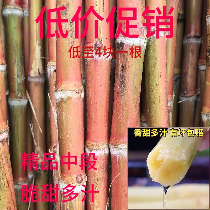 边城鲜生云南老品种红皮甘蔗脆甜多汁孕妇水果当季脆皮新鲜甘蔗
