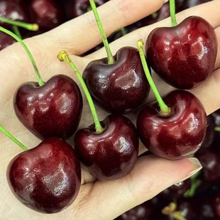 原箱5斤顺丰京东包邮海运拉宾斯智利车厘子水果J-JJJJ内附果径卡