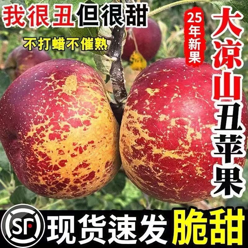 顺丰次日达正宗大凉山盐源丑苹果现采现摘整箱发货新鲜水果顺丰包,水产肉类/新鲜蔬果/熟食,苹果,淘宝优惠券,粉丝福利购,淘宝优惠卷