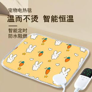 鹦鹉专用电热毯迷你小型蜜袋鼯小尺寸多功能电热垫宠物防水狗猫咪