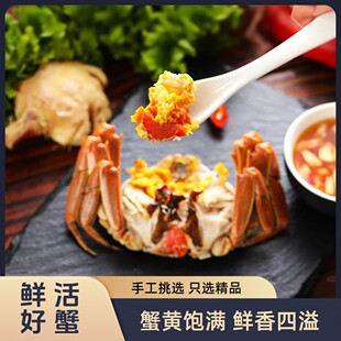 1两 只 活蟹盘锦河蟹 共2斤 1.3 30只 3斤 公母各一半