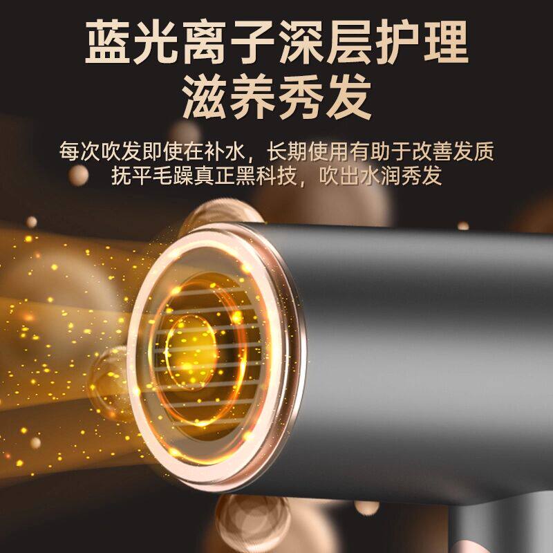 植物学家电吹风机家用负离子护发速干静音大功率高速大风力理发店