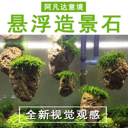 莫斯悬浮石鱼缸造景浮石阿凡达景观浮石头水族装饰假山水草套餐