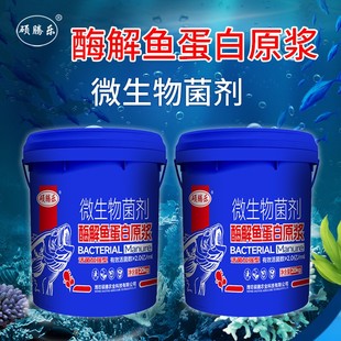 鱼蛋白生根壮苗旺根蔬菜果树花卉绿植大田作物经济作物