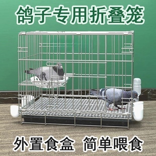 鸽子笼养鸽子专用笼养殖笼家用繁殖笼配对笼大号新型鸽舍鸽子笼子