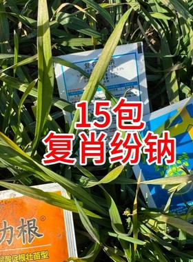 云仓15包复肖份呐调节作物生长叶片浓绿搭配奔力根肥料叶面肥吸收