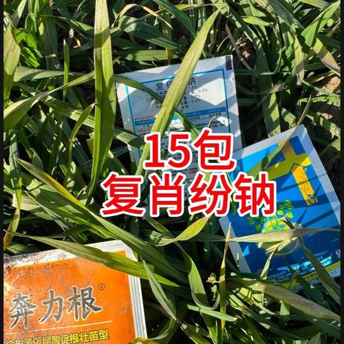 云仓15包复肖份呐调节作物生长叶片浓绿搭配奔力根肥料叶面肥吸收