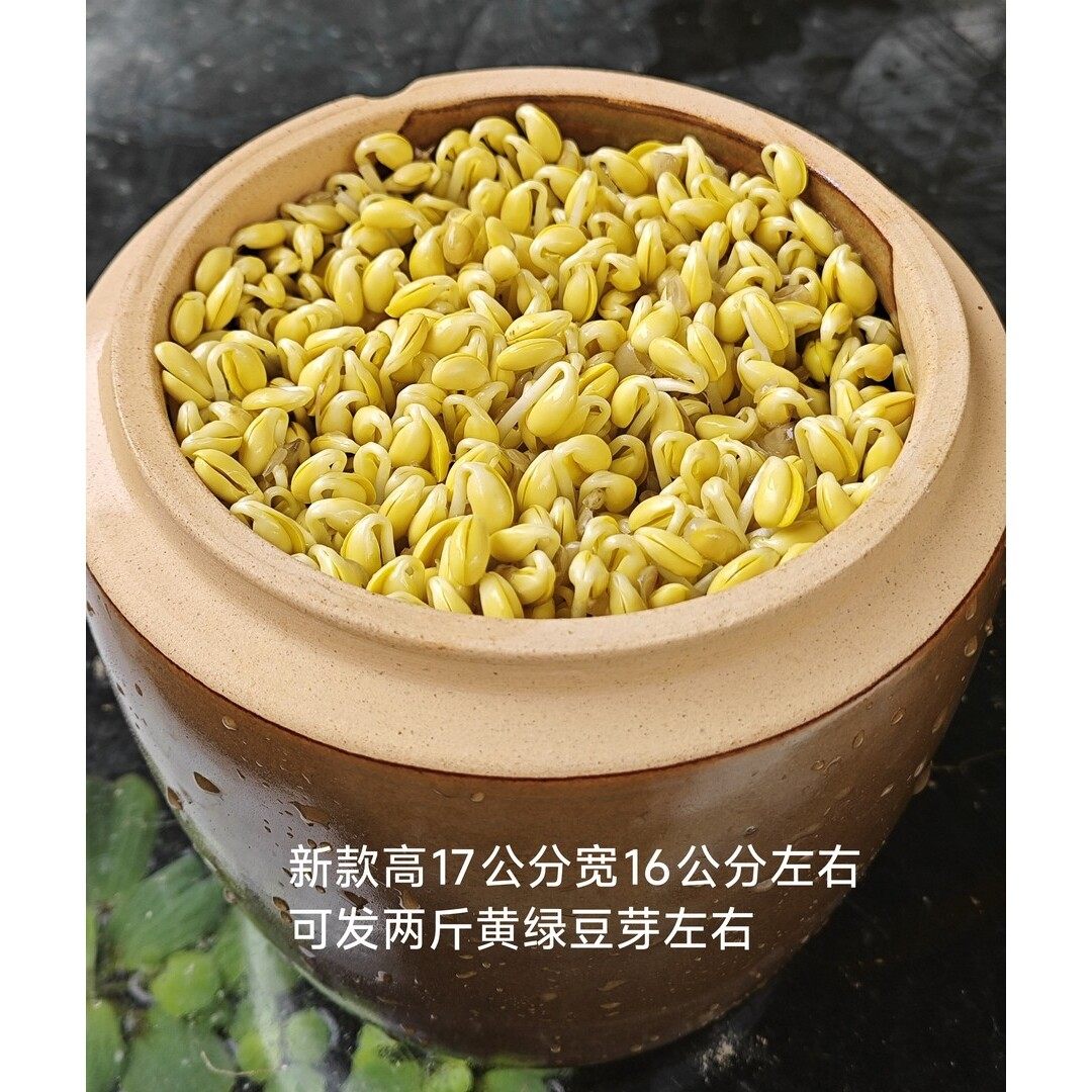 豆芽罐已打孔发两斤芽左右高17公分左右宽16配盖送豆纱布石子教程,鲜花速递/花卉仿真/绿植园艺,其它园艺用品,淘宝优惠券,粉丝福利购,淘宝优惠卷