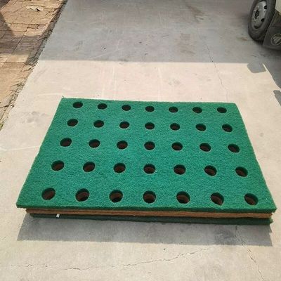 聚酯纤维浮岛复合生态造景绿化水环境治理湿地修复蔬菜种植浮床板