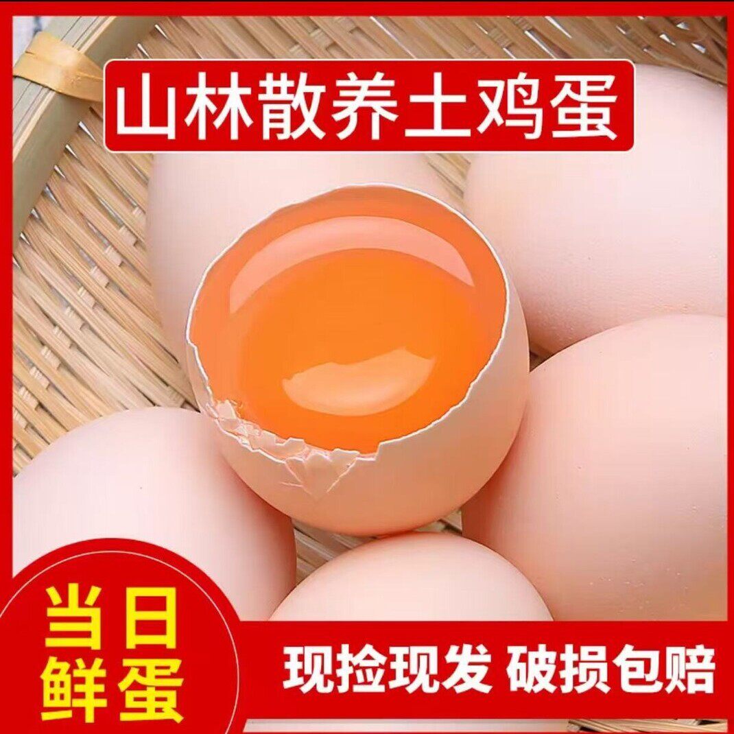 50枚散养新鲜土鸡蛋农家虫草蛋粉壳笨鸡蛋整箱