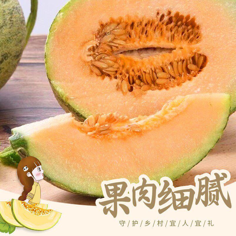 【京东送货上门】海南哈密瓜新鲜蜜瓜晓密25号西州密薄皮脆甜应季