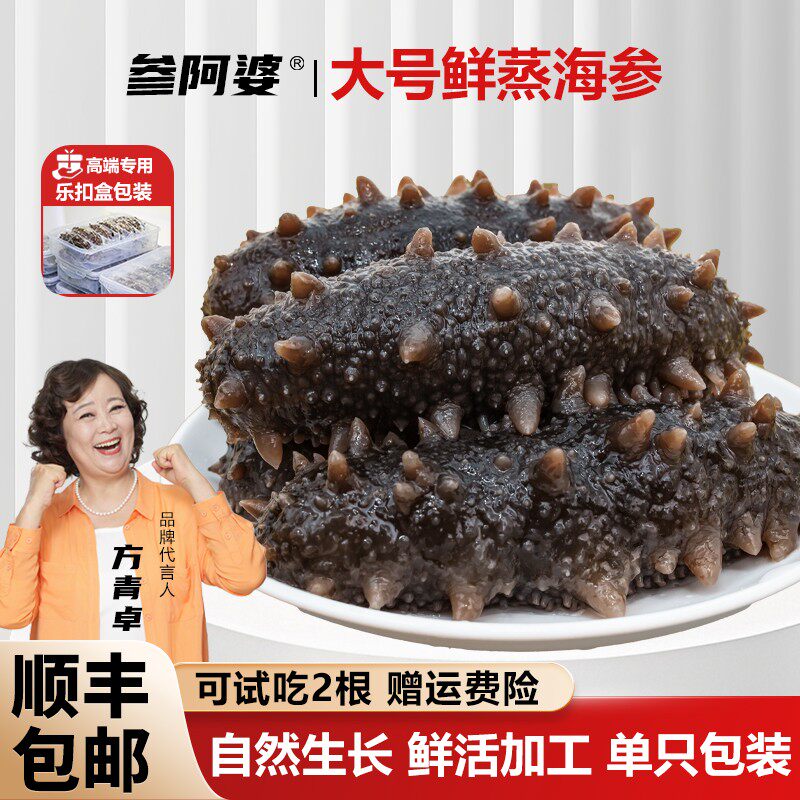 38好物节 大号鲜蒸即食海参新鲜买20只送10只非水发可配礼盒3