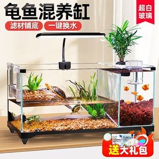 鱼缸乌龟缸混养缸二合一桌面超白玻璃造景客厅小型鱼龟共养生态缸