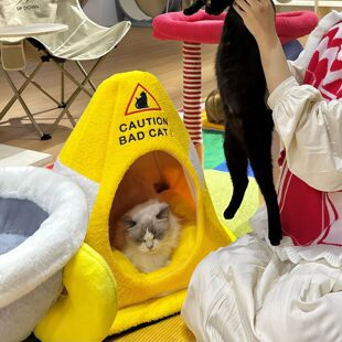 路障猫窝可拆洗不塌陷宠物帐篷猫窝狗窝保暖亲肤半封闭安全感四季