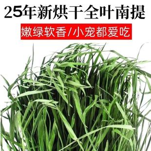 25年全新烘干南提提摩西兔子龙猫荷兰猪新鲜豚鼠食用优质牧草小宠