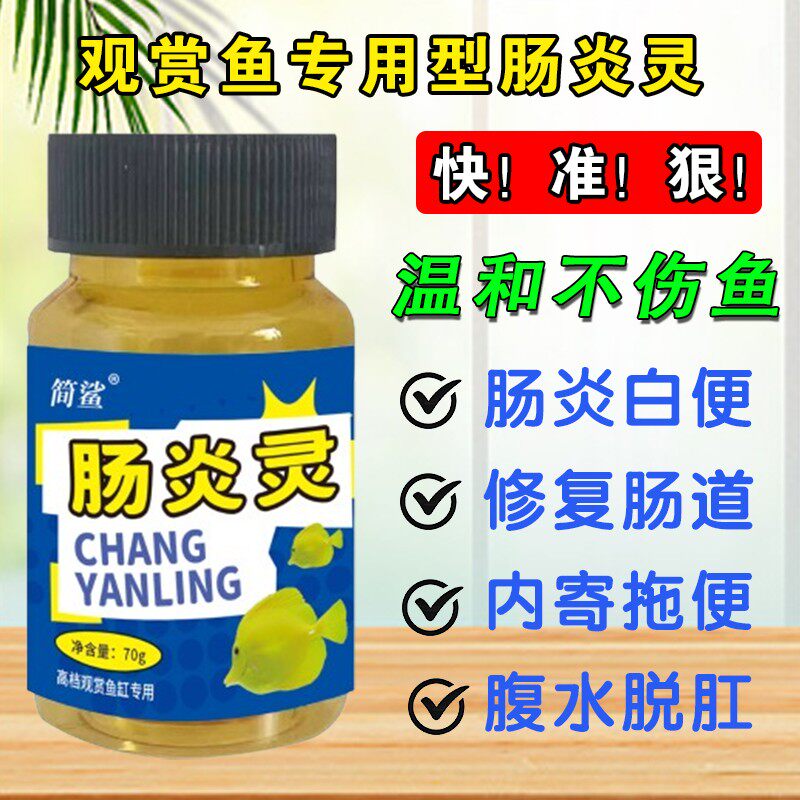 鱼肠炎灵锦鲤金鱼罗汉鹦鹉鱼厌食脱肛内寄不吃食腹水趴缸鱼缸专用