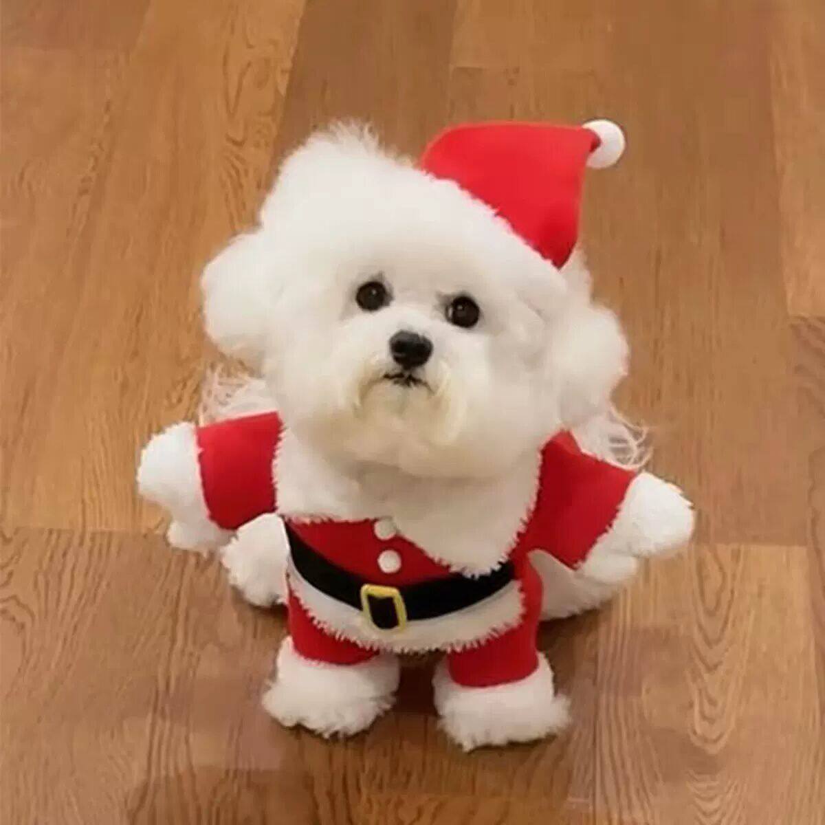 狗狗圣诞老人衣服小型犬小狗宠物圣诞节变装冬装猫咪可爱服装冬季