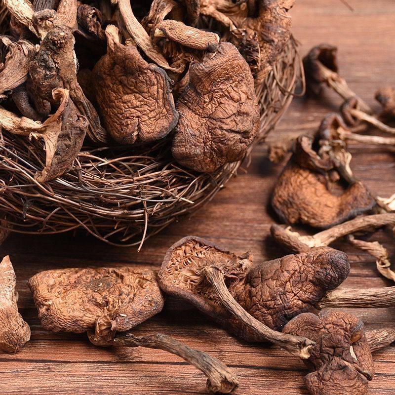 东北榛蘑新货蘑菇新货榛蘑小鸡炖蘑菇蛹虫草香菇土特产