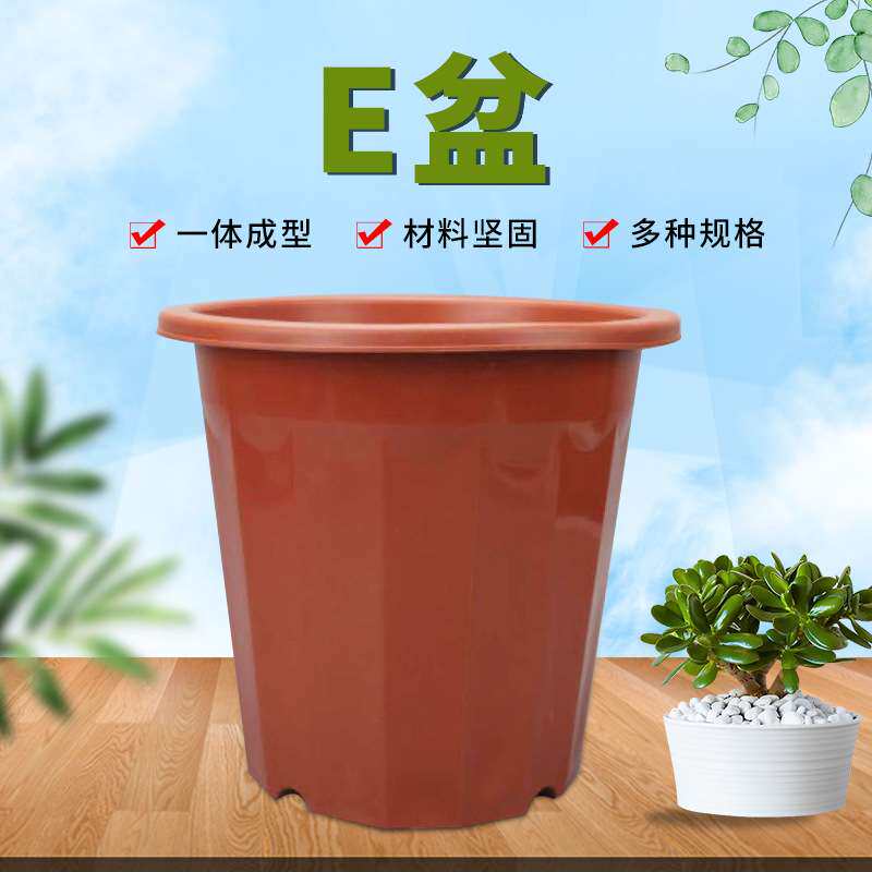 E型红色花盆十二角盆高角塑料花盆e角盆基地发财树育苗种植盆