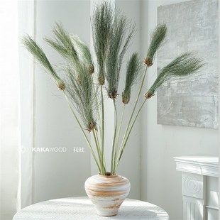 绿拂尘子纱草飘逸侘寂插花设计神器小众植物家居酒店民宿客厅软装
