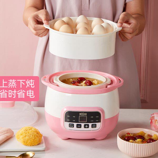电炖锅迷你煮粥神器bb煲汤陶瓷隔水炖家用全自动小燕窝电炖盅1人2