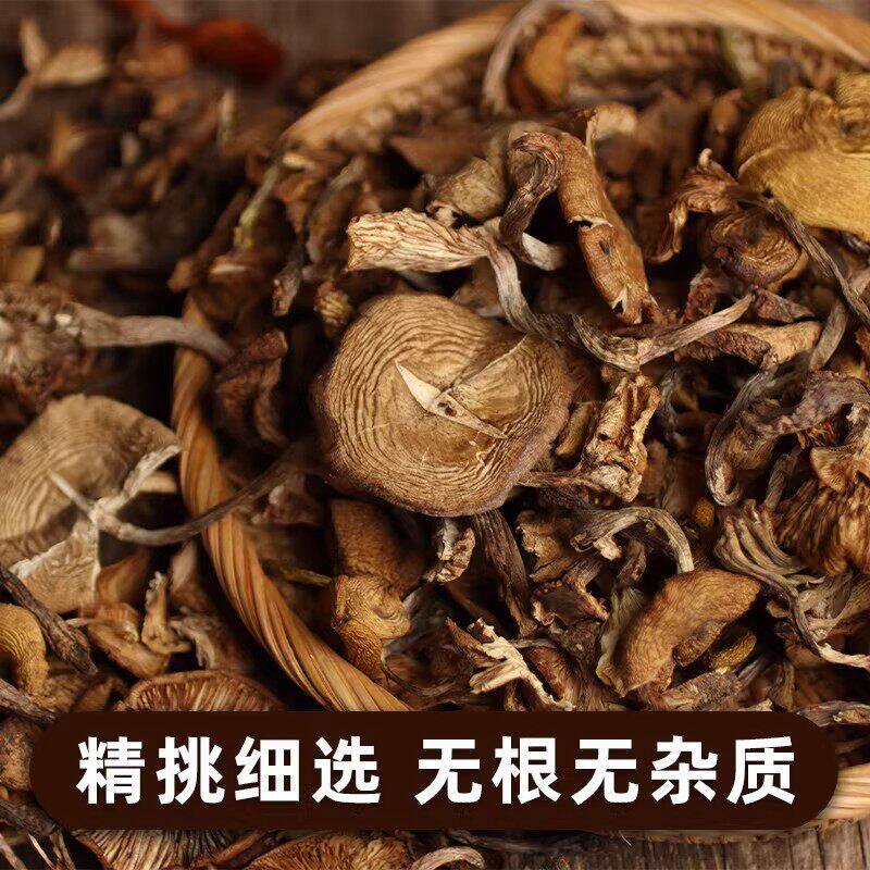 榛蘑东北蘑菇干货山珍土特产煲汤菌菇小鸡炖蘑菇用的榛蘑500g官方