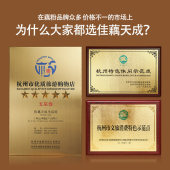 桂花西湖藕粉纯藕粉独立小袋装 杭州坚果无糖莲藕粉官方旗舰店mbv