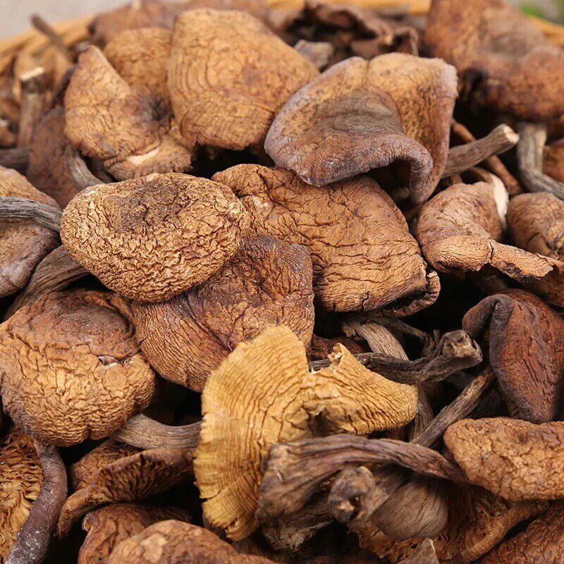 东北榛蘑干货500g长白山土特产小鸡炖蘑菇丁无根新货一斤包邮官方