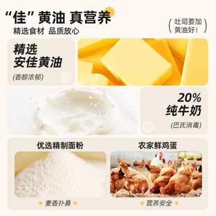 花田熊黄油鲜奶厚切吐司南瓜红豆面包营养健康早餐食品小零食整箱